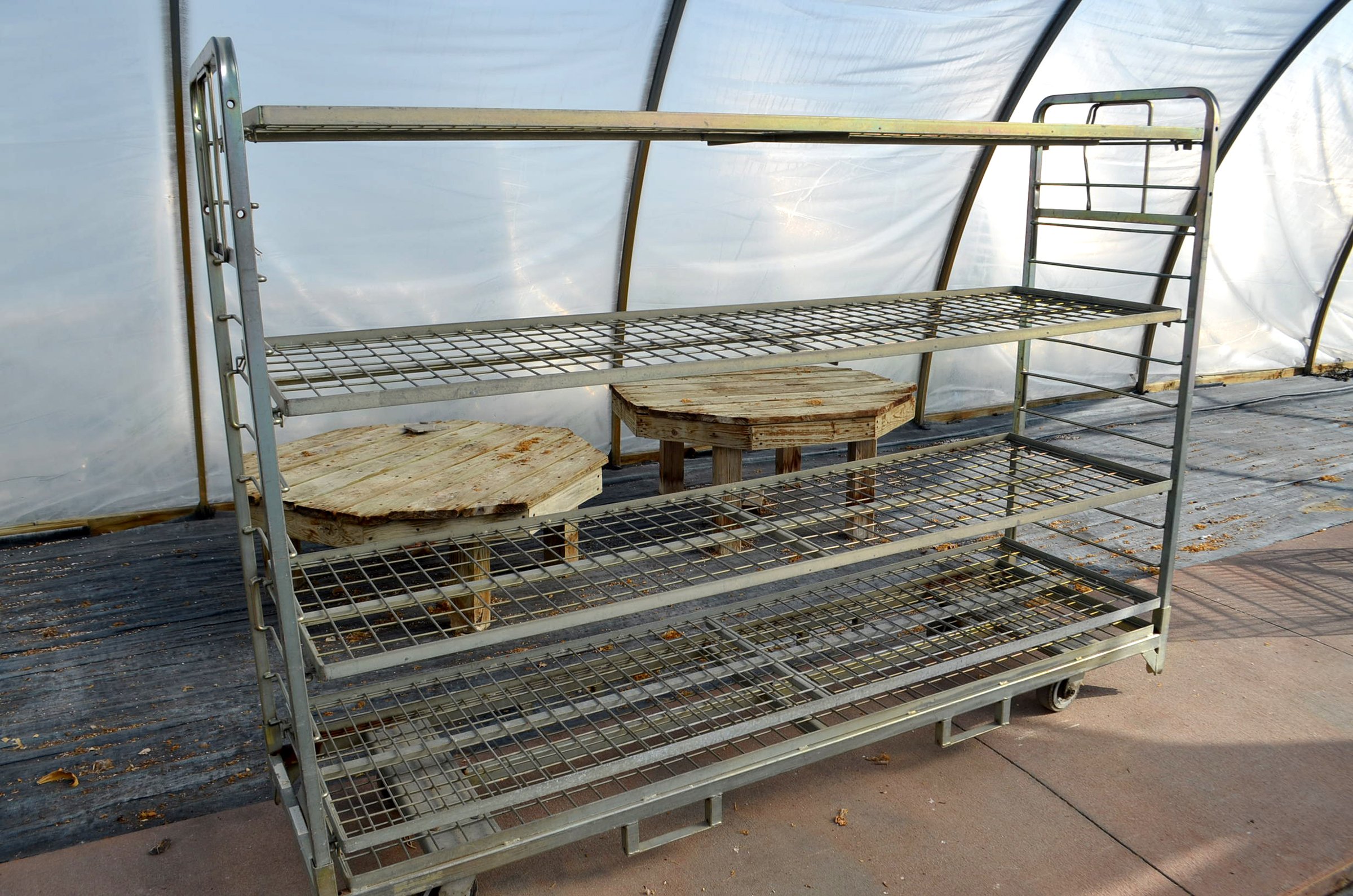 Property photo 41 - PERSONAL PROPERTY AUCTION OF DEWALD GARDENS IN ALLEN COUNTY, INDIANA